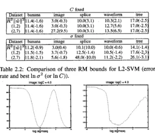Table  3.1 presents  a comparison of  different  bounds  for L1-  SVM: (1.9), (3.1), (3.2), and  the  differentiable  bound  (3.3) with  A  = 1  and A  =  0.5