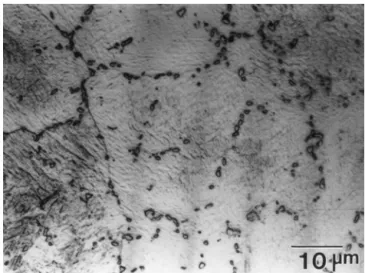 Fig. 3 shows the OM microstructure of Ti 40.5 Ni 49.5 Zr 10 alloy. A great number of second phase particles are found around B2 grain boundaries
