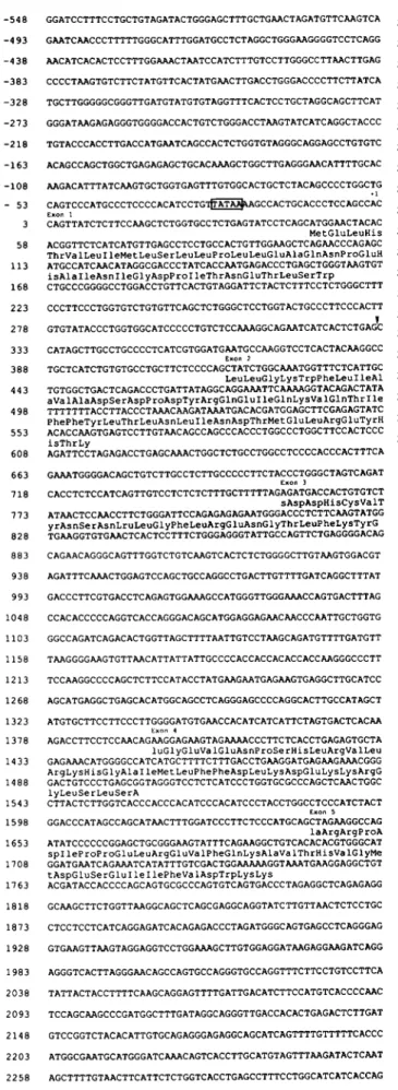 FIG. 2. Nucleotide sequence of mouse AGP3 gene. The