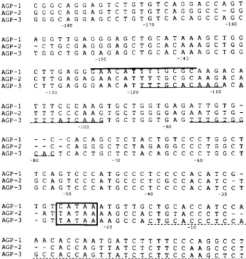 FIG. 4. Comparison of sequences in the promoter region