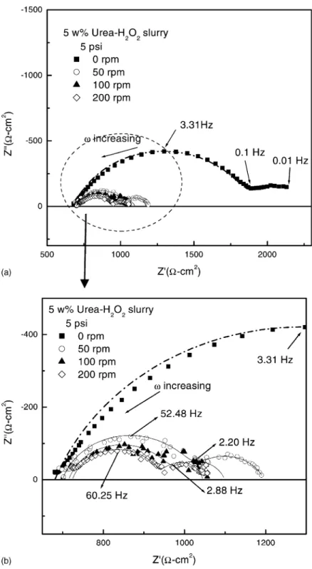 Fig. 3. Effect of rotating speeds on Nyquist plots for copper in 5 wt.% urea–H 2 O 2 slurry at a constant pressure of 5 psi.