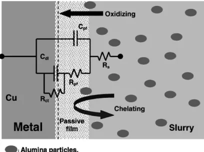 Fig. 7 shows the dc potentiodynamic curves of Cu in urea–H 2 O 2 slurries. The BTA adding and abrasion