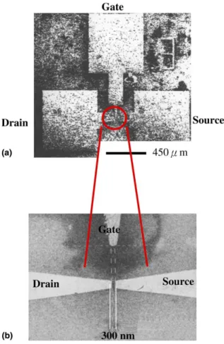 Fig. 3. The SEM images of nano-gap electrode with a magniﬁcation of (a) 300, and (b) 4000