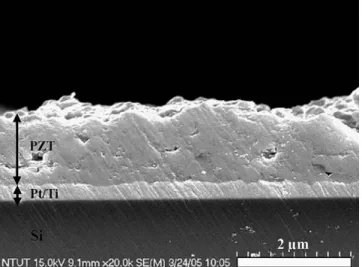 Fig. 1. SEM micrograph of PZT powder prepared by solid-state reaction.