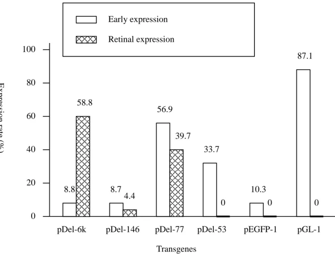 Figur e  5.  Compar ison  of  expression  patter ns  in  the  tr ansgenic  fish  embr yos microinjected with type I r hodopsin upstream-GFP chimer ic genes 