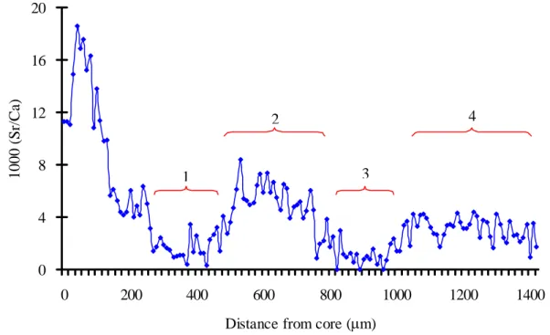Figure  Fig.  18. Temporal changes of Sr:Ca ratio for a typical inter-habitat shifter, 1 and 3 indicating  freshwater residence, 2 and 4 – sea residence 