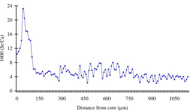 Fig. 19. Temporal changes of Sr:Ca ratio for possible sea eel, specimen from Latvian sample  No.146 
