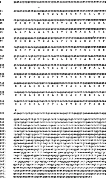 FIG. 1. Nucleotide sequence of tilapia (hybrid) IGF-II cDNA and the predicted amino acid sequence of the hormone