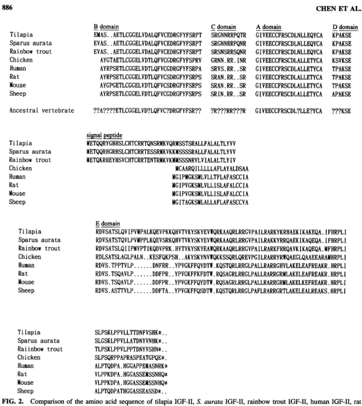 FIG. 2. Comparison of the amino acid sequence of tilapia IGF-II, S. aurata IGF-II, rainbow trout IGF-II, human IGF-II, rat IGF-II, mouse IGF-II, sheep IGF-II, and chicken IGF-II