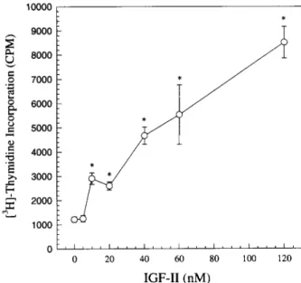 FIG. 7. Effects of recombinant tilapia IGF-II polypeptide on
