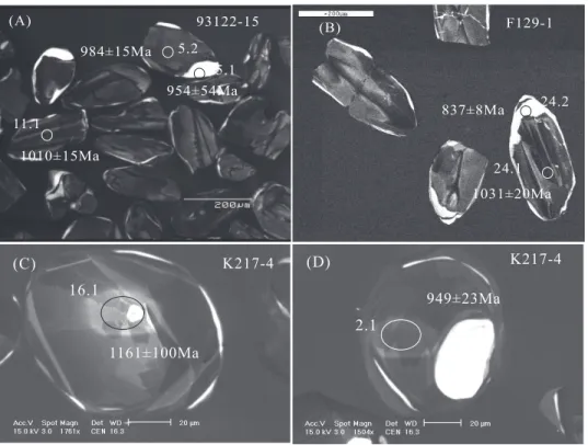Fig. 5. Characteristic CL images of analyzed zircons from mafic gneiss samples. Numbered ellipsoids indicate SHRIMP analyses