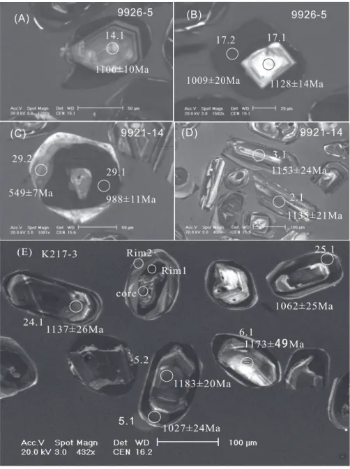 Fig. 3. CL images of dominant zircon morphologies from felsic gneiss samples. Numbered ellipsoids indicate SHRIMP spots