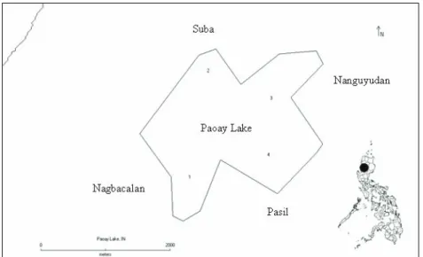 figure  1.    Map  of  Paoay  Lake,  Ilocos  Norte,  Luzon  Is.,  Philippines,  showing the sampling sites 1-4