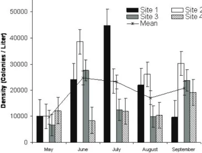 figure 2.  Variations in the density of Botryococcus braunii at the 4 sampling  sites and its mean density in Paoay Lake over the study time from  May to September 2006.