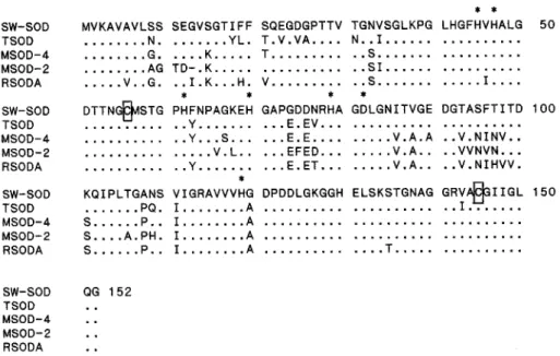 Fig. 2.  Comparison  of  amino  acid  sequences  of  SODs:  SW-SOD,  sweet  potato  SOD  (this  study);  TSOD,  tomato  SOD  [6]; 