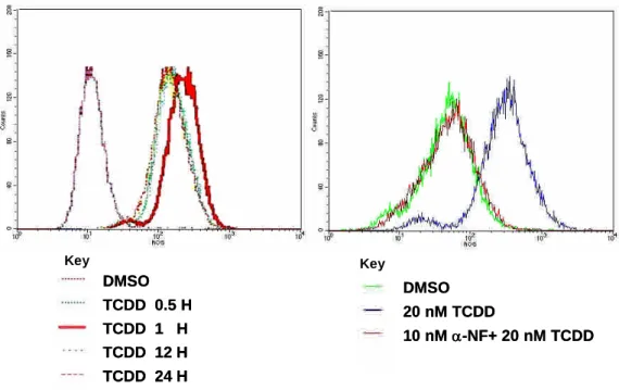 Fig 4 Effect of TCDD on reactive oxygen species production in human trophoblast cell.