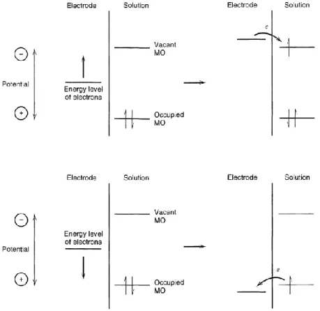 Figure 1-2  說明物種氧化和還原的過程  [1]。 