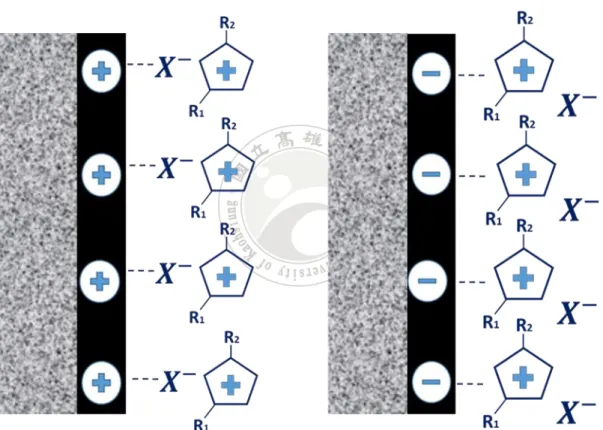 Figure 2- 2 離子液體在 AC 電極的充放電機制 