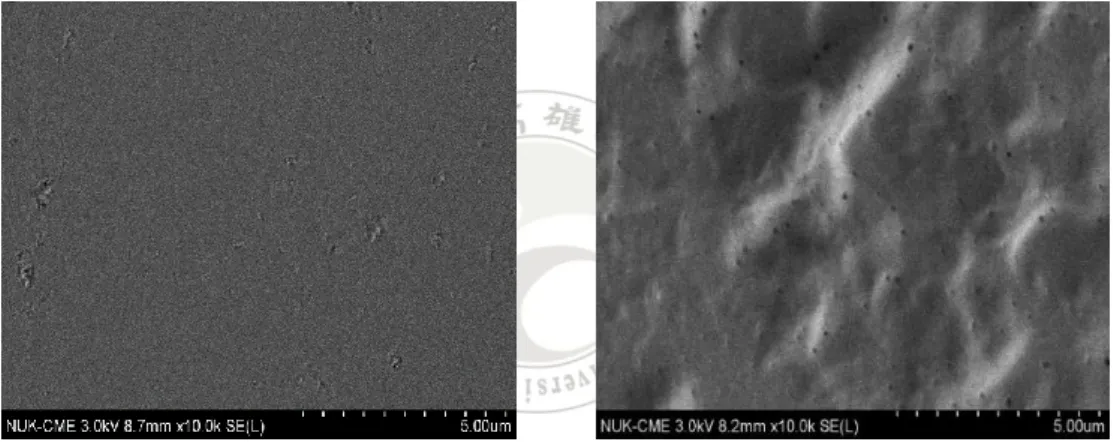Figure 3-8  以 Br –  (溴陰離子)作為 counter-anion，結合取代基為丁基(C 4 )咪 唑基離子液體，聚合後的線性型及含架橋性結構之兩種不同 PILs 之表面形貌比較。