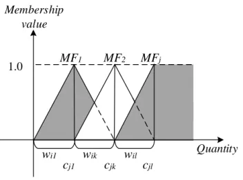 Figure 3.1: Membership functions of an item I j
