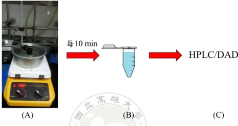圖 3- 1  以 HPLC/DAD 檢視 AAPH 氧化 ABTS 實驗之流程: (A)反應瓶於 68℃水浴反應；(B)取原液 10 μL 稀釋成 1 mL；(C)分析 
