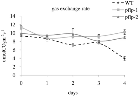 Figure 8. The pattern of photosynthetic gas exchange rate during the pathogen infected 