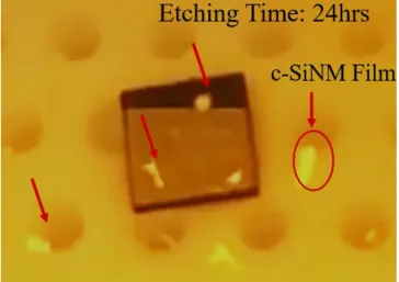 圖  3-10    c-SiNMs 於蝕刻液中破碎成塊狀之圖像     