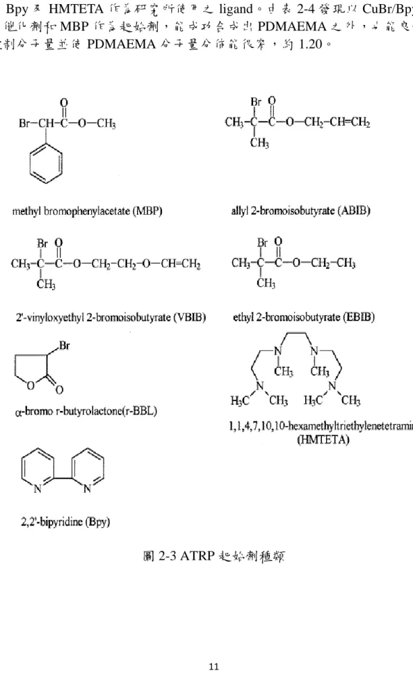 圖 2-3 ATRP 起始劑種類 