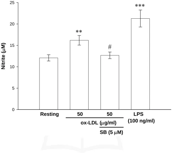 Figure 7.  Effect of SB 203580 on ox-LDL-induced expression of  nitrite in BV-2 cells