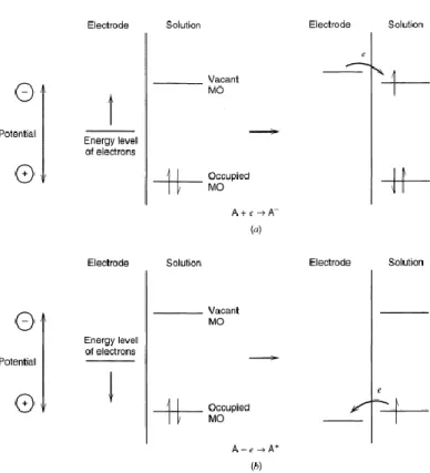 Fig. 1-2 電化學中物種氧化還原的過程[5]。 