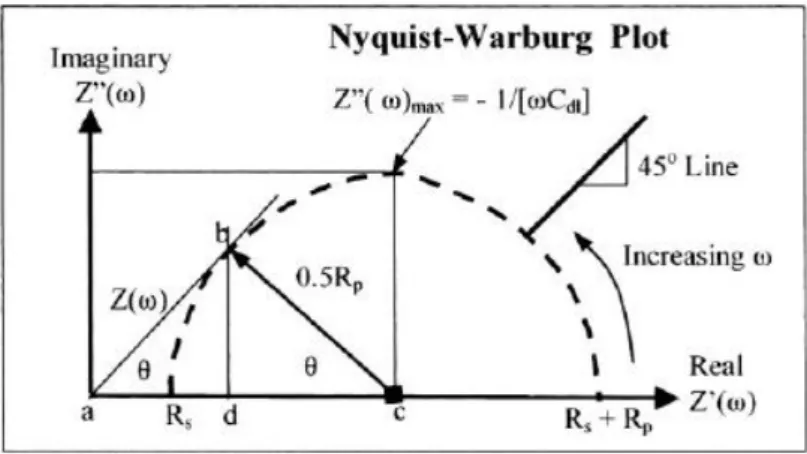 Fig. 1-6 包含電荷轉移與質傳擴散 Nyquist-Warburg plot[8]。 