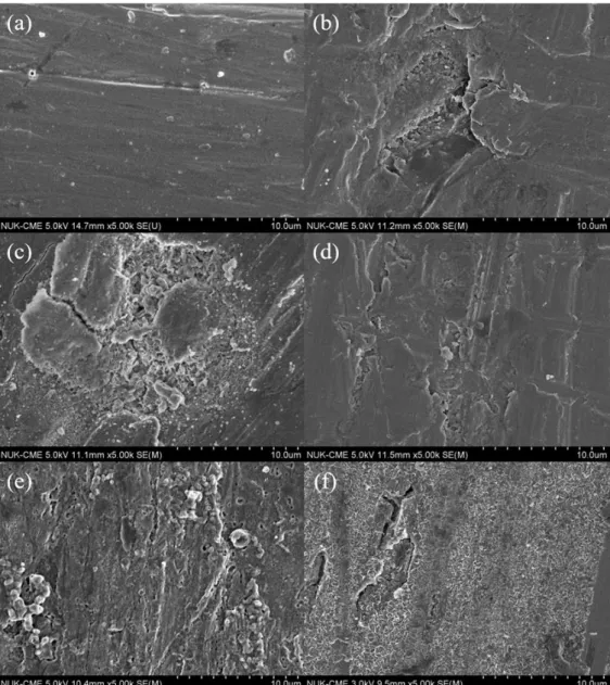 Fig. 2-6 電聚合低碳鋼 SEM 照片 。 (a) SPCC 低碳鋼；自摻雜型聚苯胺 沉積於低碳鋼基板上，AN/DABSA 莫耳比(b) 10, (c) 8.8, (d) 3.4；沉積 SPAN(AN/DABSA= 8.8)之試片於交流阻抗測試後(e) 1M HCl, (f) 1M 