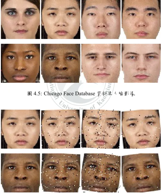 圖 4.5: Chicago Face Database 資料庫人臉影像
