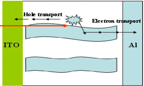 Fig. 2.8. A blend of two polymers [48]. 