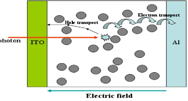 Fig. 2.9. A blend of one polymer with electron accepting nanoparticles or fullerene. 
