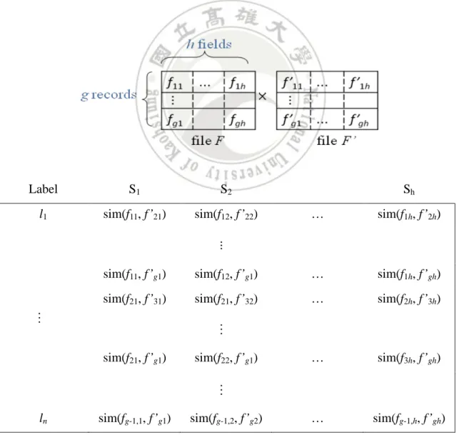 Figure 5.1 illustrates the record pair transformation. After the transformation, every  record is represented as a label attribute plus a vector of similarities
