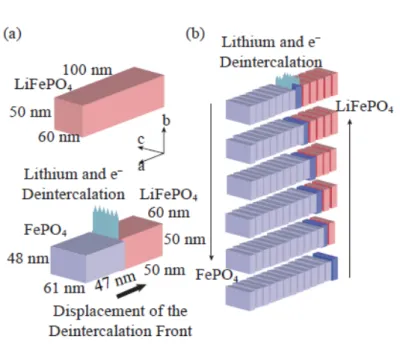 Figure 2-8 Schematic of the ‘domino-cascade’ mechanism for the lithium  deintercalation/intercalation mechanism in a LiFePO 4  crystallite