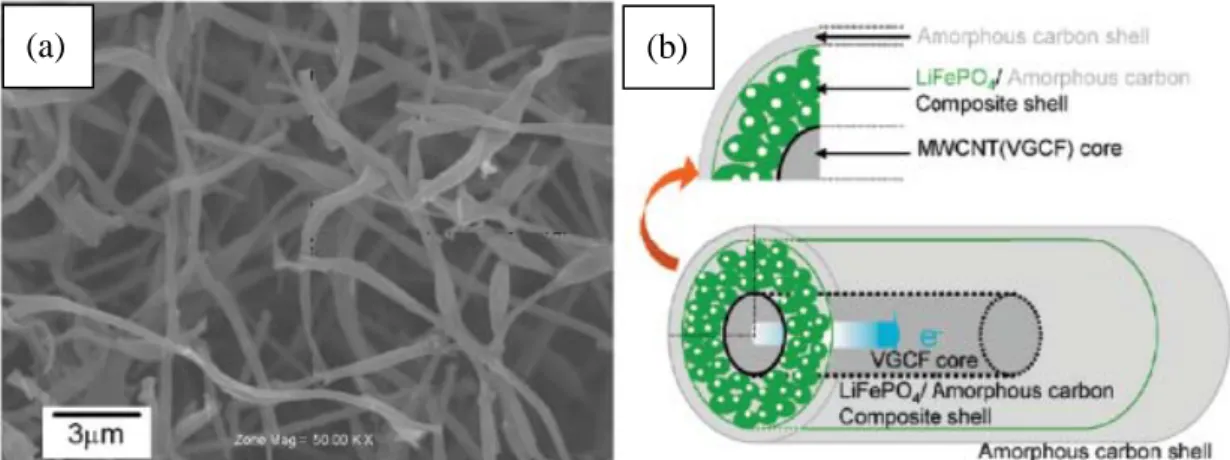 Figure 2-20 (a) FE-SEM images of the materials. (b) Model image of the  triaxial nanowire with a MWCNT core column, and the two layer shells: 
