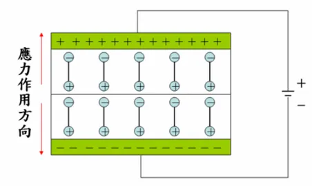 圖 2-9(b) 逆壓電效應示意圖 