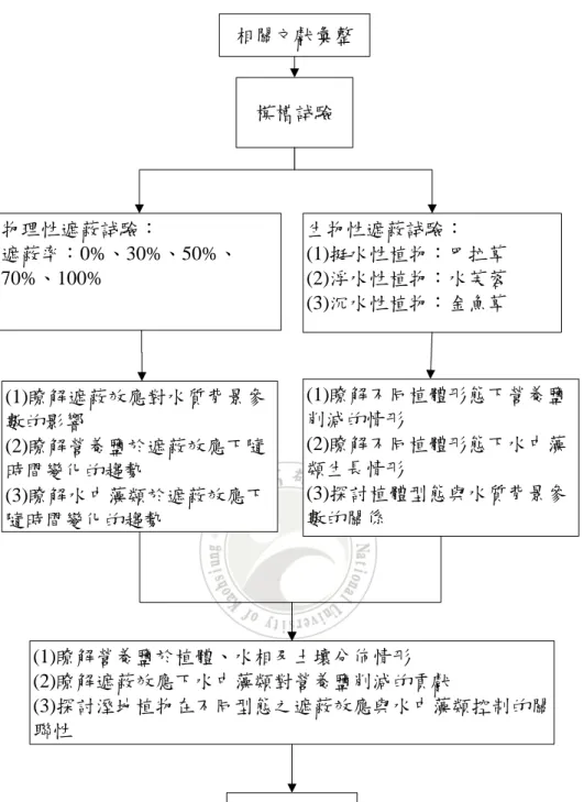 圖 3.1 研究架構圖 相關文獻彙整模槽試驗(1)瞭解遮蔽效應對水質背景參數的影響(2)瞭解營養鹽於遮蔽效應下隨時間變化的趨勢(3)瞭解水中藻類於遮蔽效應下隨時間變化的趨勢論文撰寫 生物性遮蔽試驗： (1)挺水性植物：巴拉草(2)浮水性植物：水芙蓉(3)沉水性植物：金魚草物理性遮蔽試驗：遮蔽率：0%、30%、50%、70%、100%(1)瞭解營養鹽於植體、水相及土壤分佈情形(2)瞭解遮蔽效應下水中藻類對營養鹽削減的貢獻 (3)探討溼地植物在不同型態之遮蔽效應與水中藻類控制的關聯性 (1)瞭解不同植體形態下營
