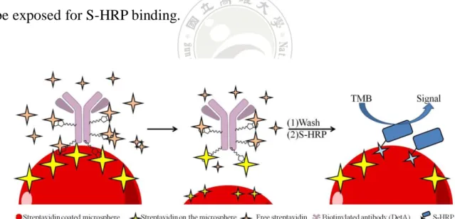 Figure  12.  The  illustration  of  the  DetA  that  was  pulled  off  by  high  concentration of free streptavidin in the solution