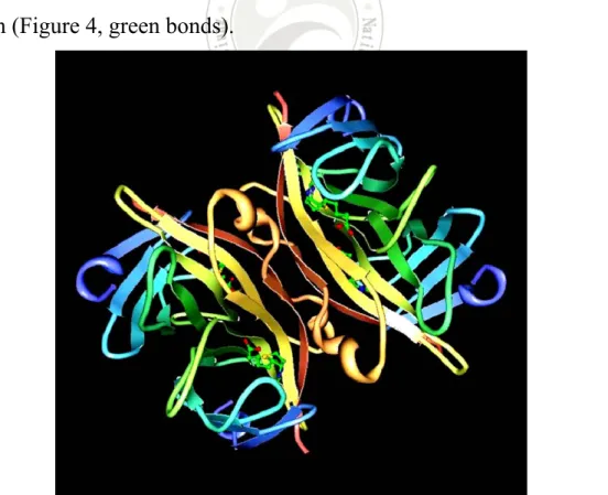 Figure 4.    The structure of streptavidin binding with four biotins. Protein  Data Bank (PDB) ID is 1STP