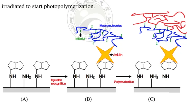 Figure 13.    Illustration of photopolymerization-based amplification. 