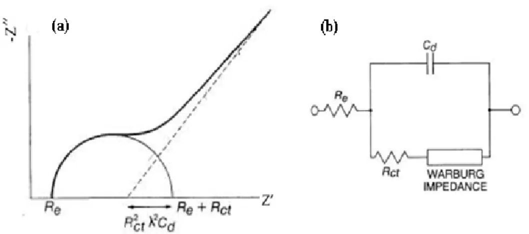 Figure 3-6 The instruction of AC impedance, (a) One of the Nyquist plots; 