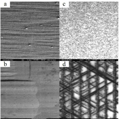 Figure 2.6 SEM images of the (a) N-polar GaN and (b) semipolar  ( 11 2 2 )   GaN samples and  the panchromatic CL images (c) and (d)  taken over the same regions with 11kV excitation  electron voltage under room temperature, respectively