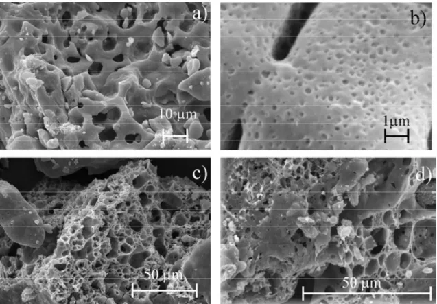 Figure  2-11.  SEM  micrographs  of  various  samples:  (a)  fragile  “chess-like” 