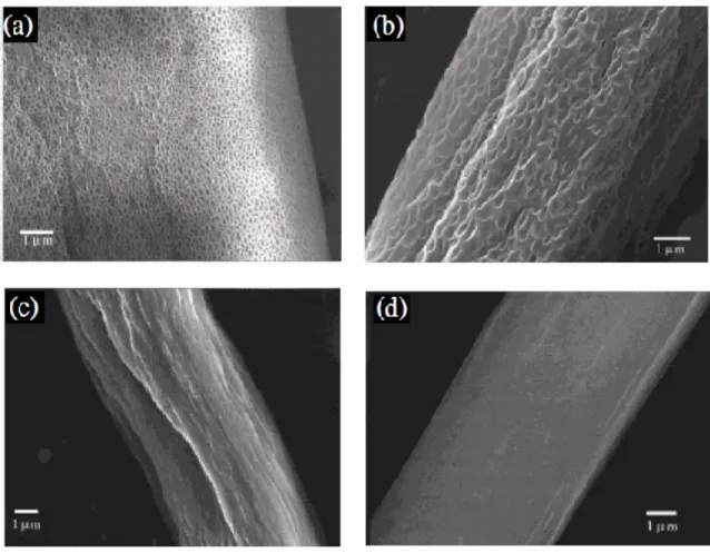 Figure 2-19 SEM images，The effects of the different percentage THF added. 