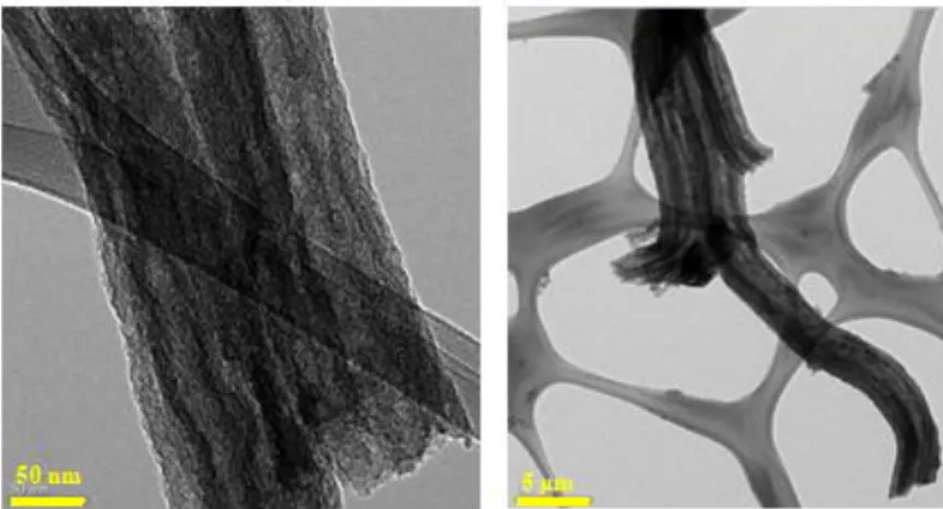 圖 4-5 TEM 圖譜(a)FePc/N-CNFs (b)FePc/Py/N-CNFs 