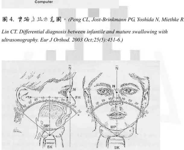 圖 5.  超音波探頭掃描面示意圖。 