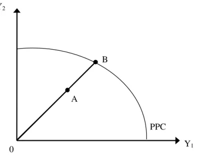 Figure 3.1    Output distance function 